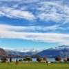wanaka